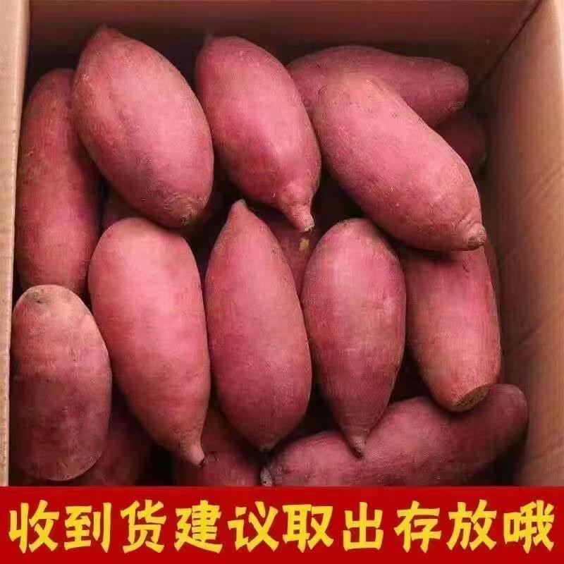 蜜薯新鲜红薯10斤农家香甜薯板栗黄红心烤地瓜糖心小番薯山芋1