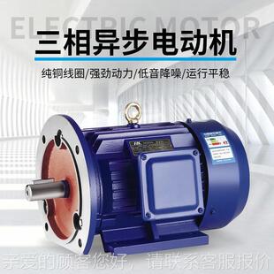 ye三相异步电动机11KW15/185/2.2/ILD0/7千瓦高效率全80V铜电机