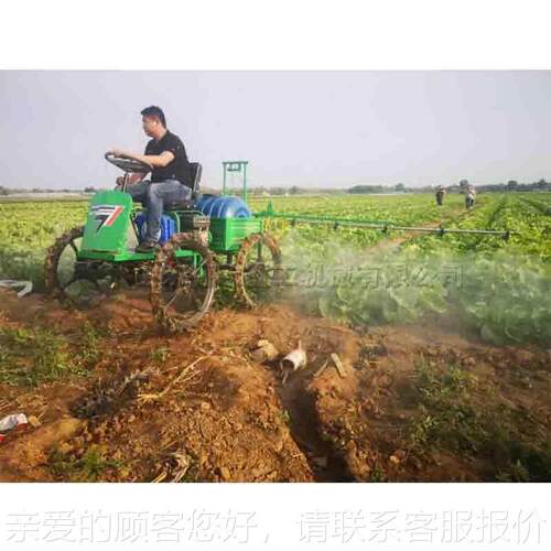 农田四轮药机 小型自走式喷药机 座式农作打药物农喷DO-9洒机现驾