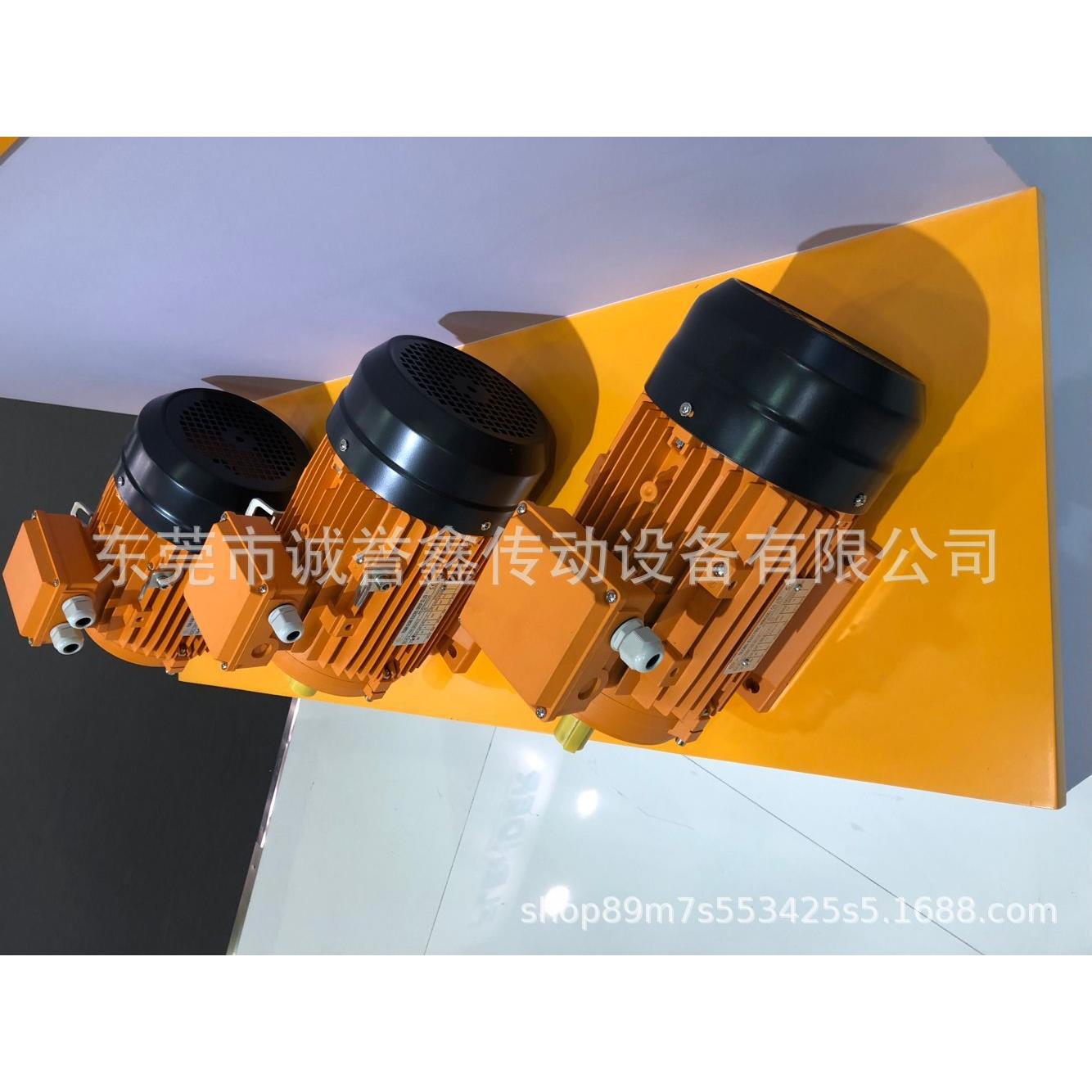 供应意大利REM电机R2MS71- 04.5W EMYT63B-4MC马达MYT63B-4 0.187