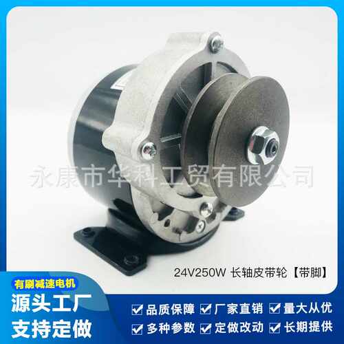 有刷直流电机1016Z24V 250W代步车电动车电瓶车减速扫地车轮椅