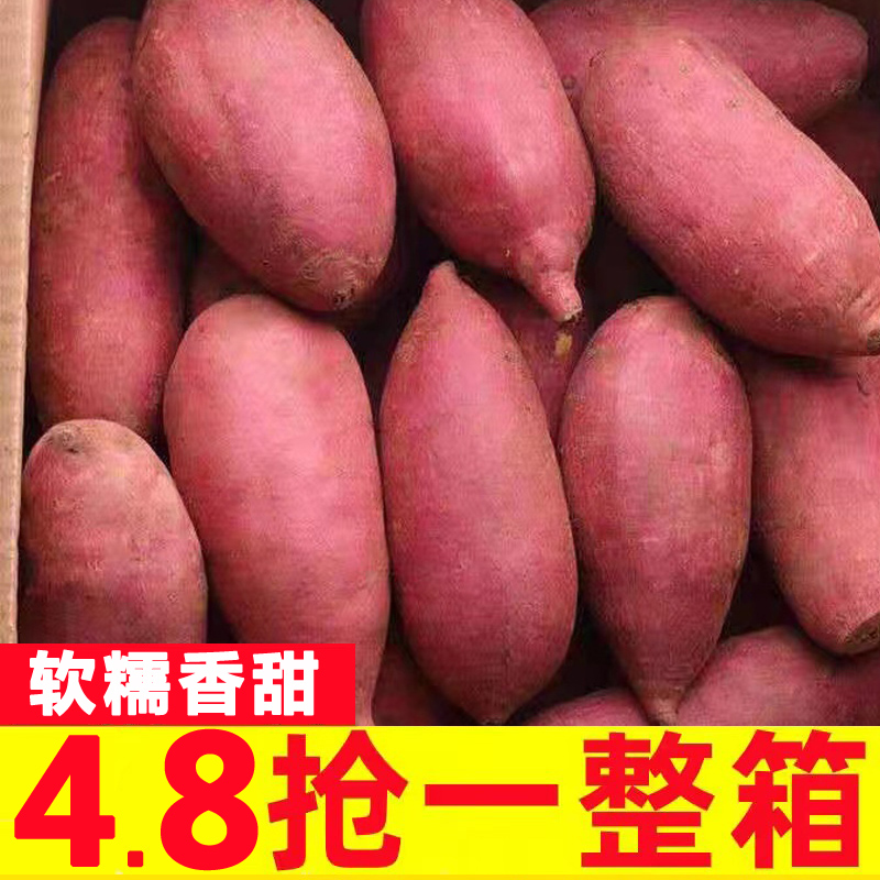 新鲜烟薯25号糖心蜜薯9斤装红薯新鲜小香薯西瓜红山芋番薯烤地瓜