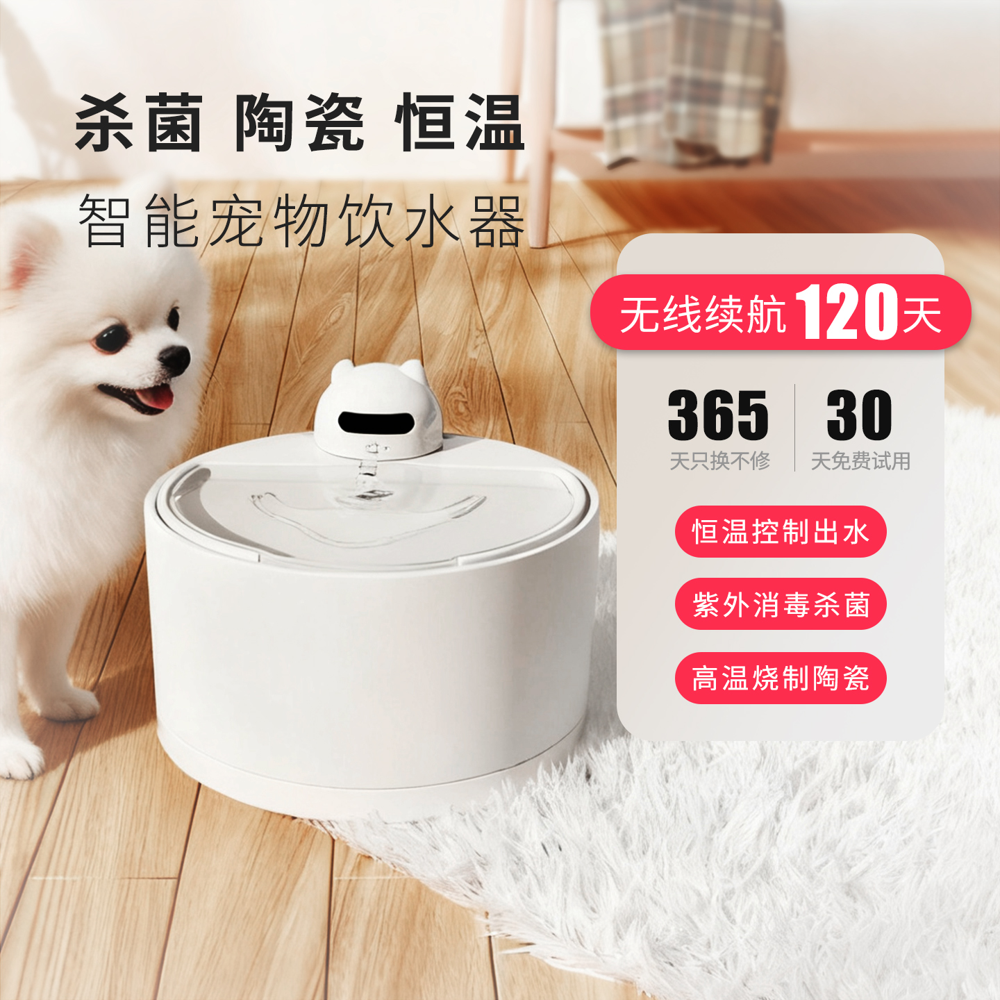 小瘦兽小型犬狗狗饮水器饮水机陶瓷宠物无线自动流动水恒温喝水器