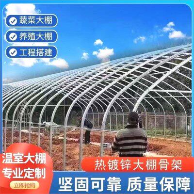 养殖大棚全套大棚骨架家用温室种植棚专业养鸡棚羊棚牛棚蔬菜大棚
