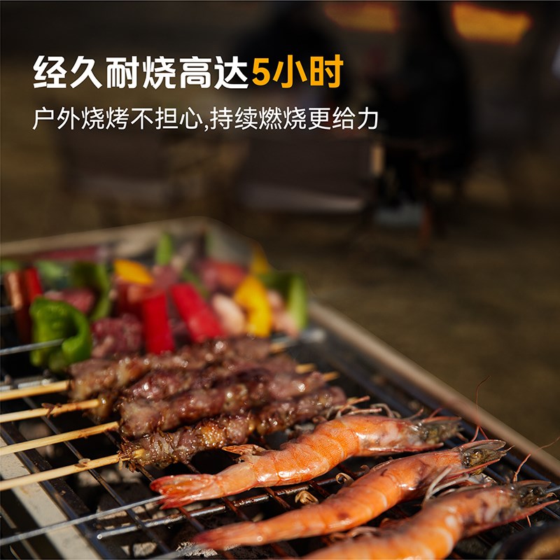 指南征木炭烧烤碳无烟家用果木炭碳烤炉速燃竹炭炭块机制碳块