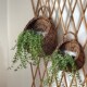 柳编藤编壁挂花盆花篮吊篮手工编织水培土培阳台墙壁悬挂式 篮子