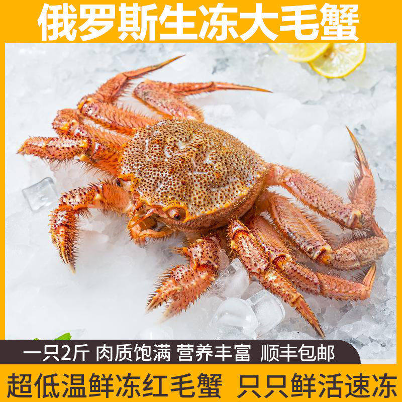 俄罗斯生冻大红毛蟹比帝王皇帝霸王椰子梭子面包澳龙青花雪蟹好吃,水产肉类/新鲜蔬果/熟食,帝王蟹,淘宝优惠券,粉丝福利购,淘宝优惠卷