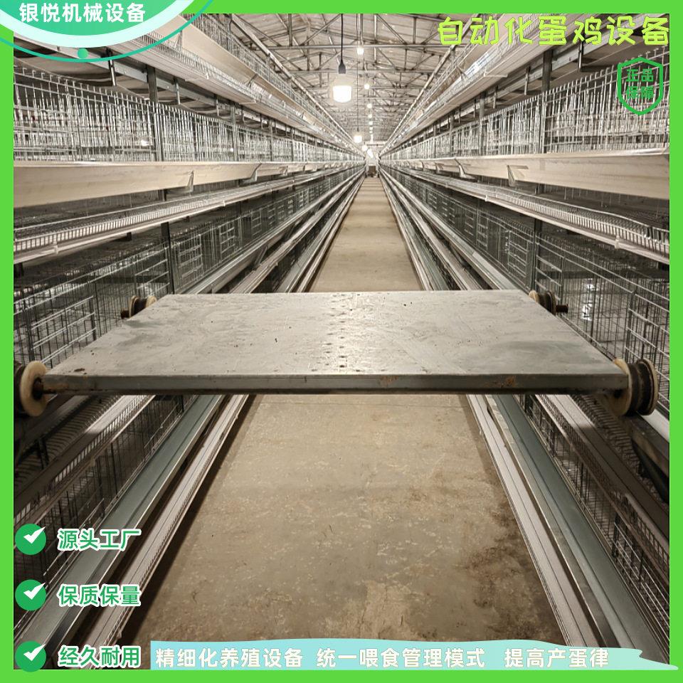 A小层叠蛋鸡笼育雏笼养殖设备/层叠式全自动化捡蛋清粪/养鸡设备