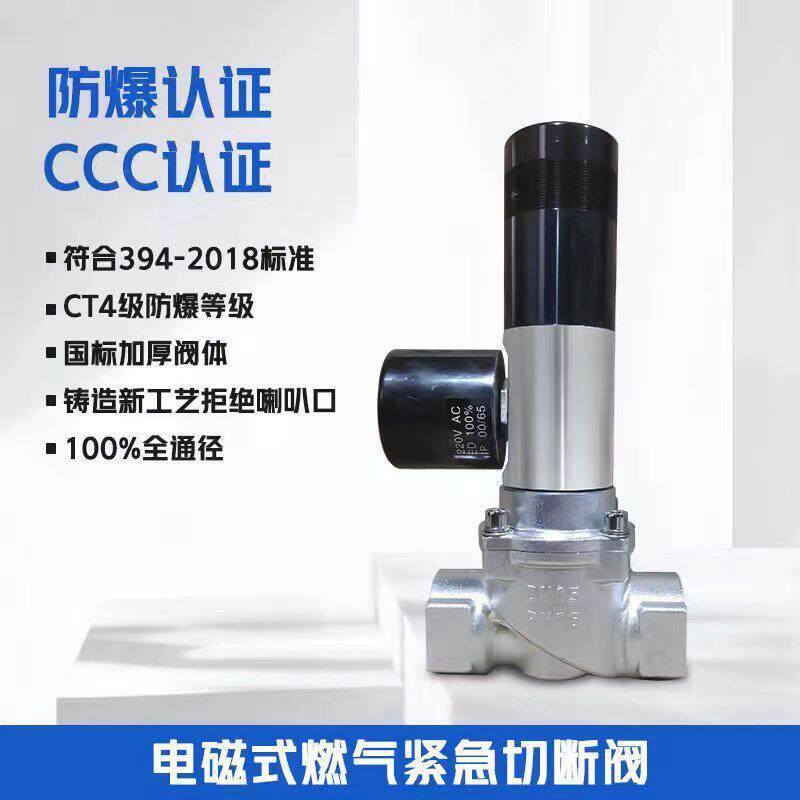 防爆电磁切断阀燃气警报器联动瓦斯液化气瓦斯泄露自动断气阀门