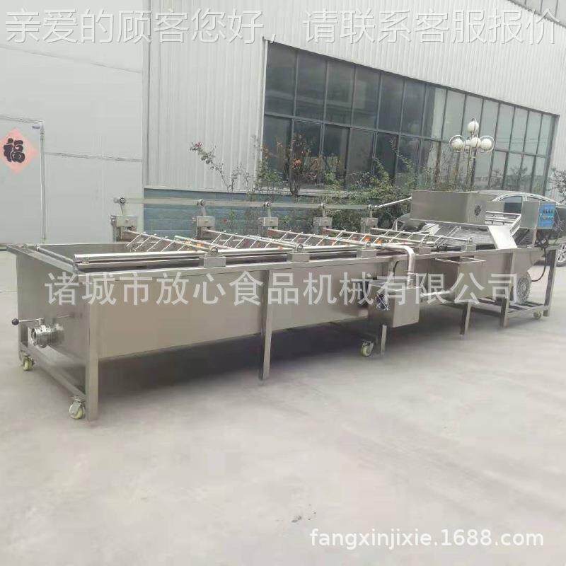 锈自钢海带清洗机 海带丝 海FX-600藻类蔬菜洗机全动不海带清洗清