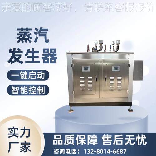 全自动小型 电加蒸发生器煮粥蒸饭煮豆TT-DR50浆酿酒榨油用蒸热汽