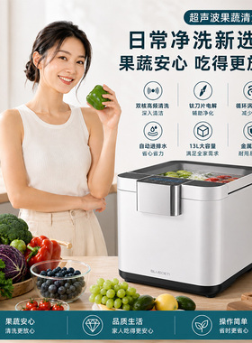 BLUECETI蓝力鲸超声波果