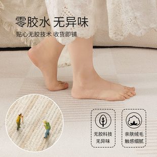 高级感沙发茶几毯家用奶油风免打理卧室床边地垫 地毯客厅2024新款