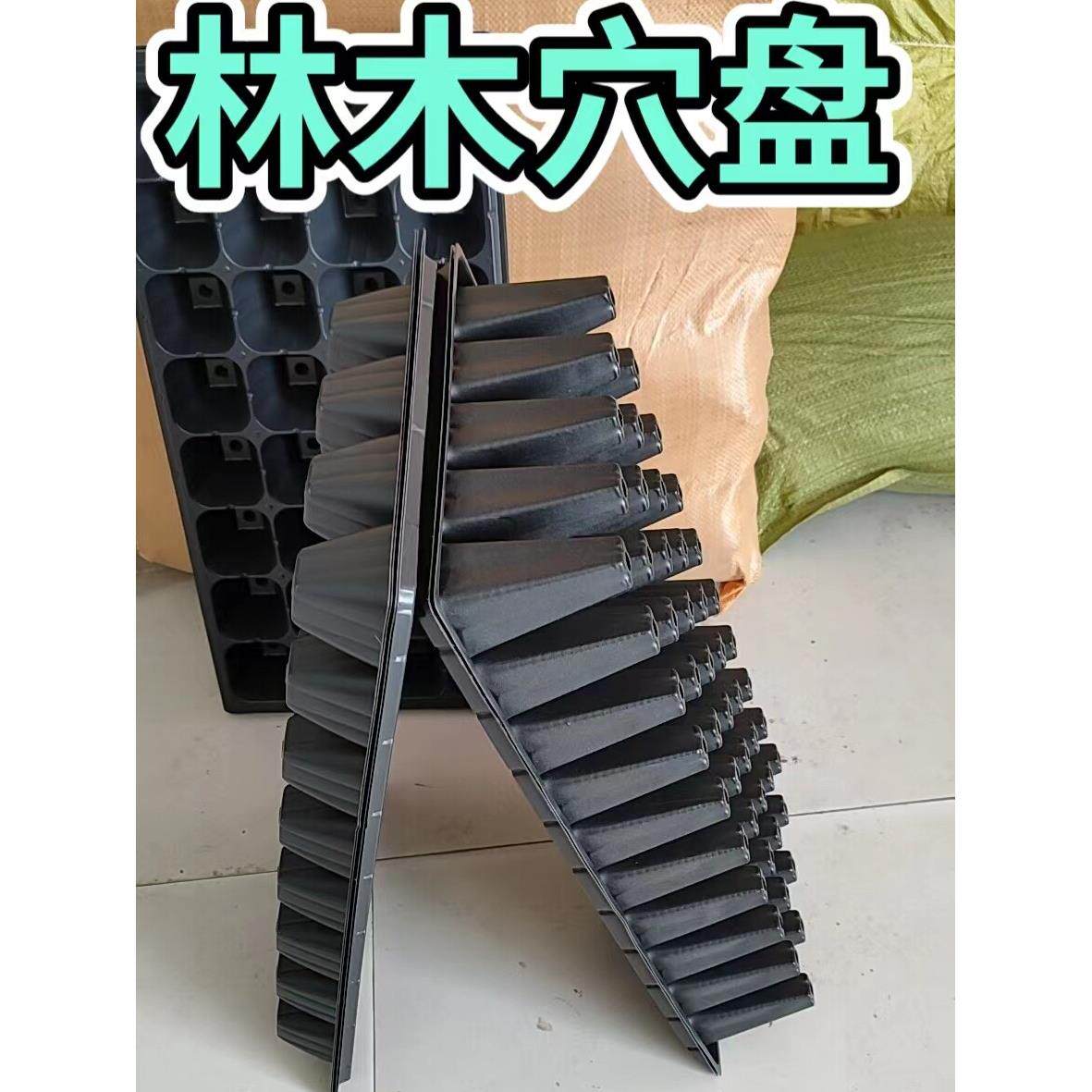 育苗托盘塑料黑色一次性50孔育苗森林木塞托盘厂家直销营养碗蔬菜