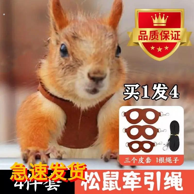 松鼠牵引绳专用背带式防咬溜绳衣服花枝鼠炼子小绳子脖绳宠物用品