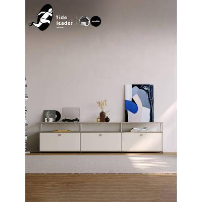 Tide leader中古组合电视柜客厅2025新款不锈钢现代简约电视机柜