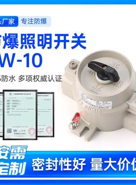 防爆防腐照明开 关SW-10BQM&BZM铝合金10A220V380V通风机控制开