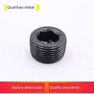 等级12.9六角塞管道塞舱壁油塞停止螺丝塞Pt/Npt1/161/81/43/81/2