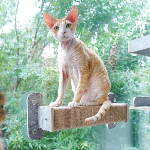 宅猫酱 JoyCat吸盘猫爬架猫抓柱宠物猫咪磨爪抓板透明亚克力吊床