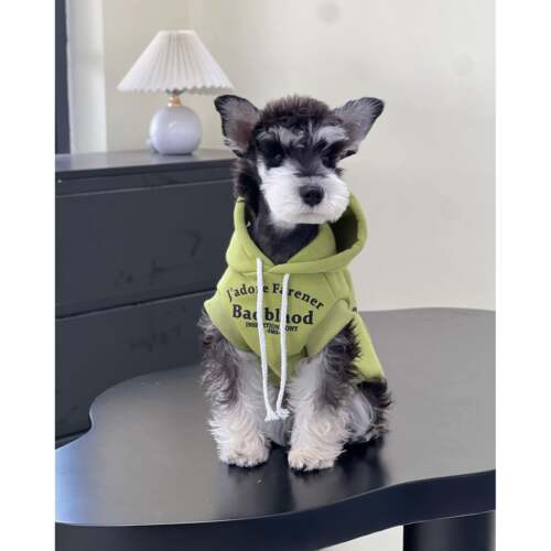 宠物猫狗衣服秋冬潮牌糖果色纯棉无袖卫衣防掉毛中小大型犬卫衣 - 封面