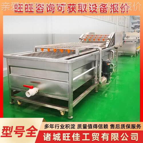 全自动JZL蔬气泡清洗机 小香葱芹果菜菜清洗去泥橘子女圣韭果洗果