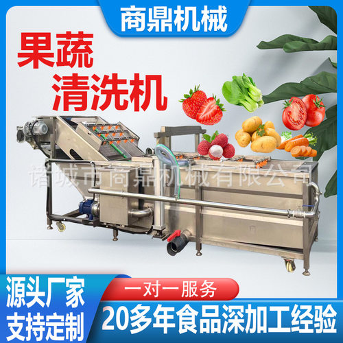 气泡冲浪喷淋臭氧洗果机 水果清洗线 山楂清洗机