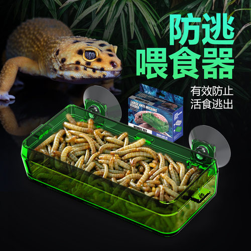 诺摩新款爬宠防逃喂食器自动饮水盆防逃守宫蜥蜴蜥蜴饲料盆