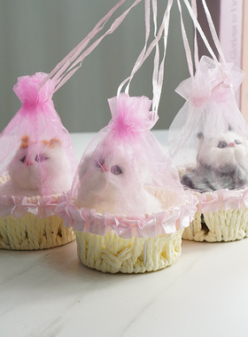 带网纱花篮仿真猫咪狗狗猫咪静态动物模型家居创意摆件儿童公仔