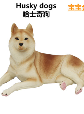 跨境仿真动物模型宠物狗狗模型大号实心哈士奇模型家居装饰摆件