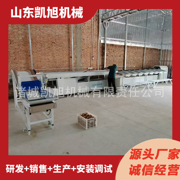 大型全自动油桃克重选果机 百香果西红柿自动重量筛选分果机设备