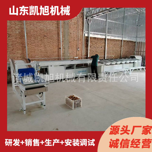 大型全自动油桃克重选果机 百香果西红柿自动重量筛选分果机设备