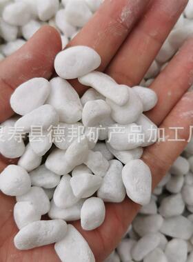 路白子景观用白卵石VGI园林铺白石米石白色鹅卵石枯山水白石子