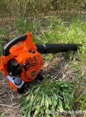 路园背负式汽吹公风机大棚积马雪油灰尘清理机EXE手持式草地吹吸