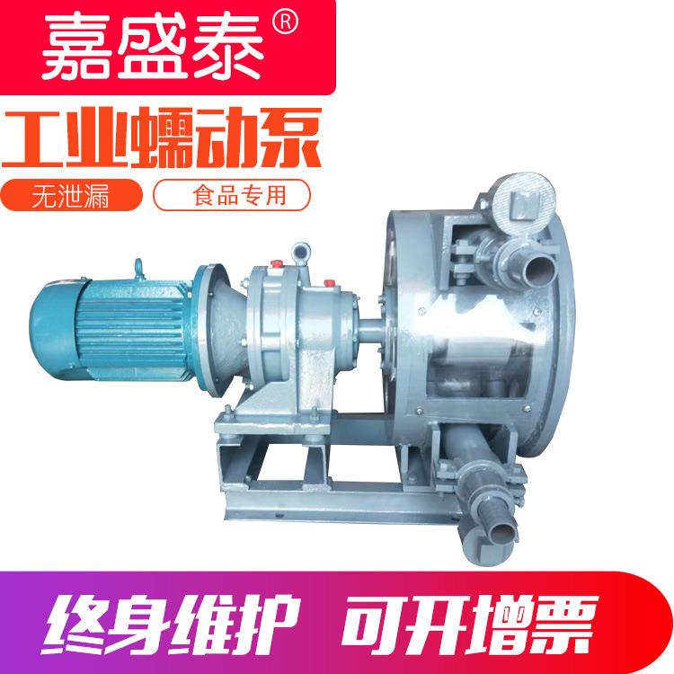 工业软管挤压泵动IHP液7化学体纸浆输送泵水泥5石灰浆AWV蠕泵