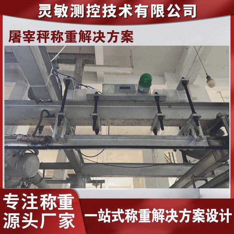 屠宰场轨道秤称重解决方案悬轨单双吊秤商用静动态自动挂钩电子秤