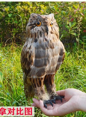 仿真猫头鹰动物模型吓鸟工具真羽毛鸟类饰L品摆件庭院超市森林道
