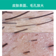 高清数码 电子显微镜1600倍测试皮肤电子手机维修放大镜布料经伟密