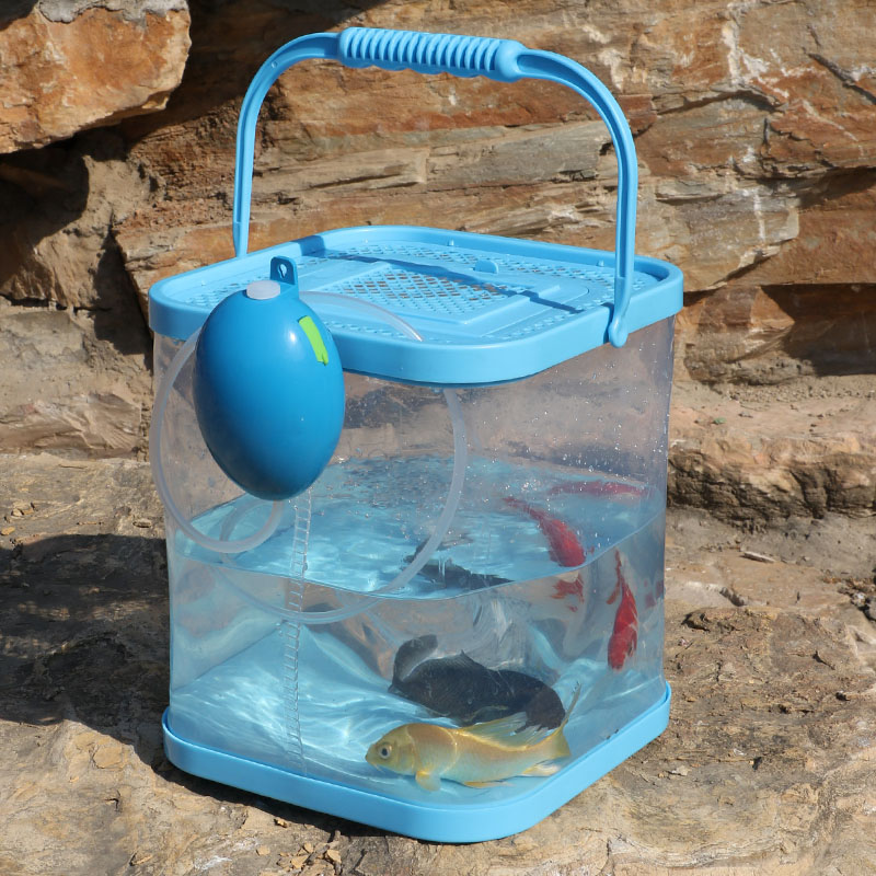 EVA打水桶折叠桶活鱼桶活鱼箱渔具小配件鱼护桶钓箱透明鱼桶渔具