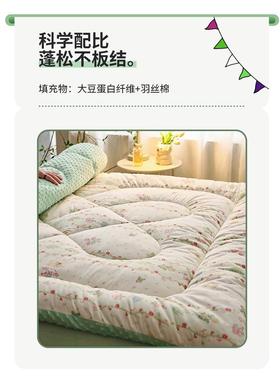 A纯棉全垫棉B豆豆绒榻床垫软垫家用床褥垫被儿EX240312童地睡宿舍