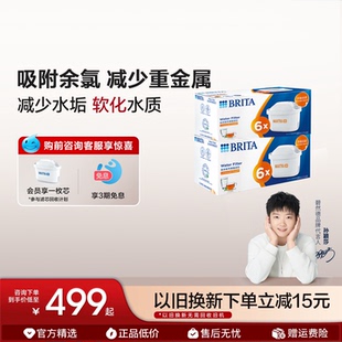 BRITA碧然德滤芯滤水壶家用净水器净水壶去水垢专家版 滤芯12枚装