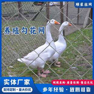 煤矿镀锌铁丝网养殖牛羊钢丝网边坡绿化喷浆护坡勾花网支护菱形网