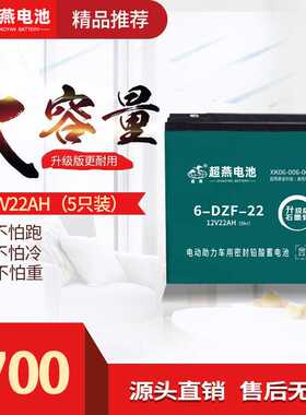 蓄电池 6-DZM-22 6-DZF-22 60V22AH 5只装/组小型三轮车可用