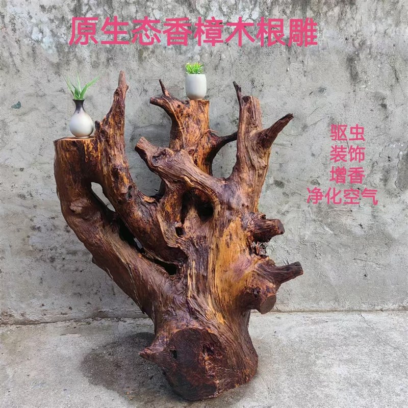 原生态香樟木原木根雕树根风化客厅电视柜造型创意家居装饰摆件
