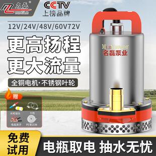 直流潜水泵12V24V48V60V电瓶车电动抽水泵小型灌溉农用家用抽水机