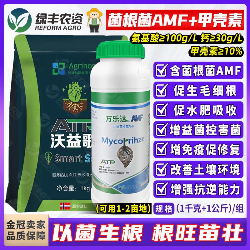 挪威进口AMF菌根菌+甲壳素促生根改善土壤抗根结线虫果树水溶肥料