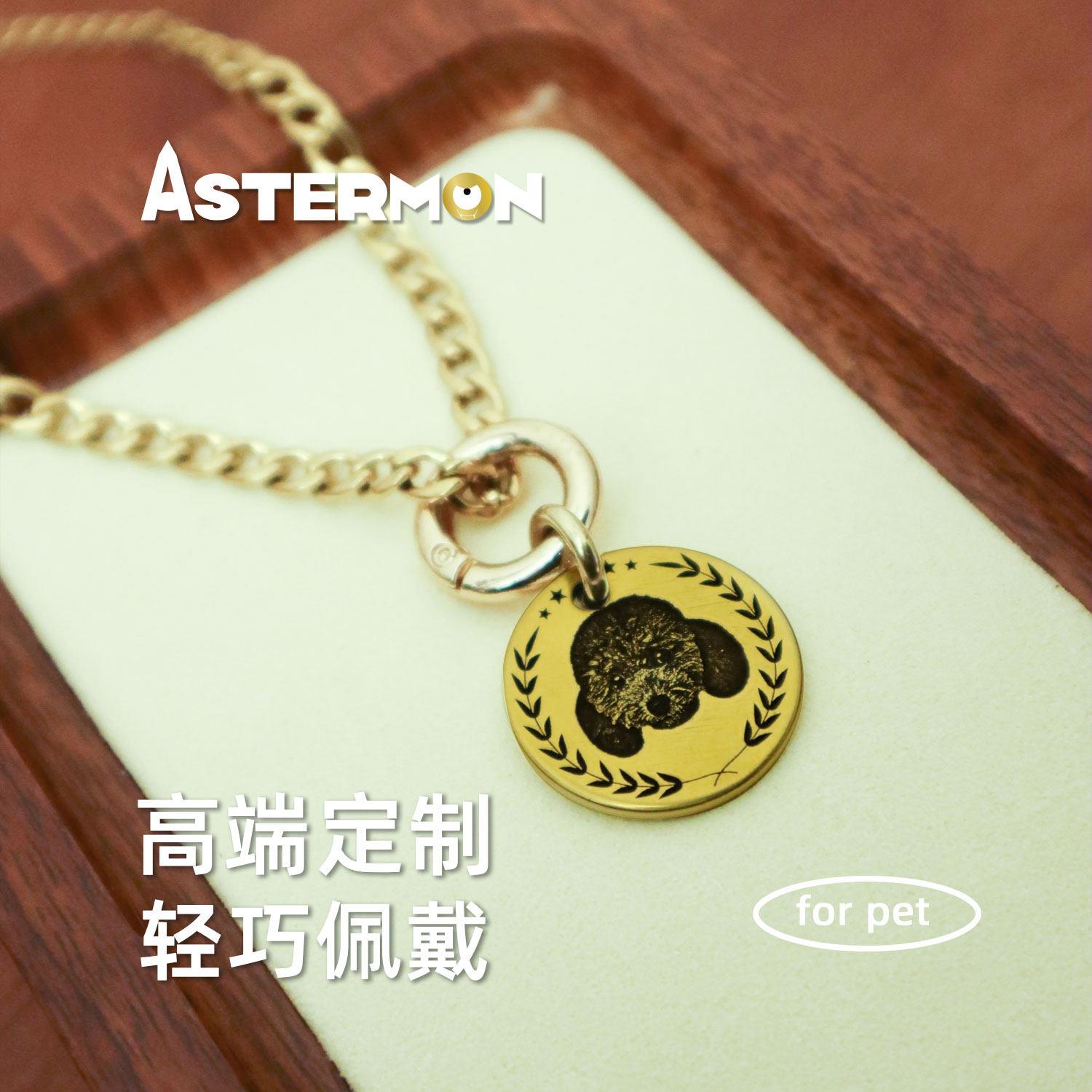 Astermon黄铜金色宠物牌身份牌定做刻字项链项圈饰品宠物吊牌名牌