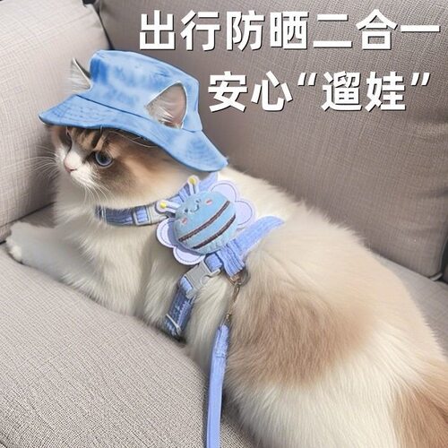 可爱露耳猫咪渔夫帽夏季宠物外出