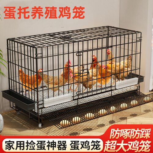 鸡笼子大号特大养殖笼自动清粪犬