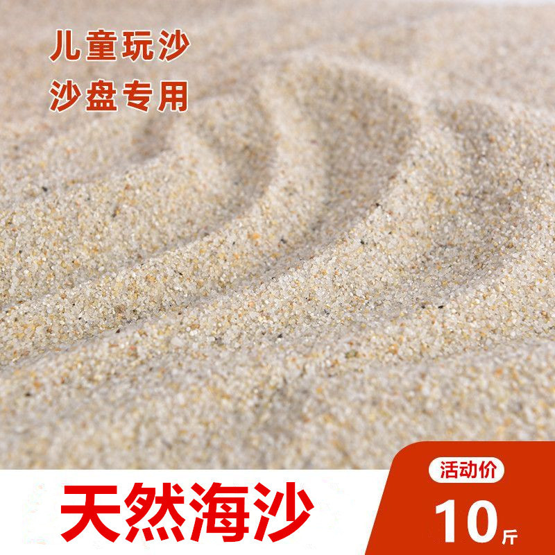 天然河沙海沙细黄沙鱼缸底沙乌龟