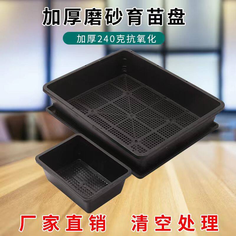 加厚长方形育苗框多肉叶插种菜盆
